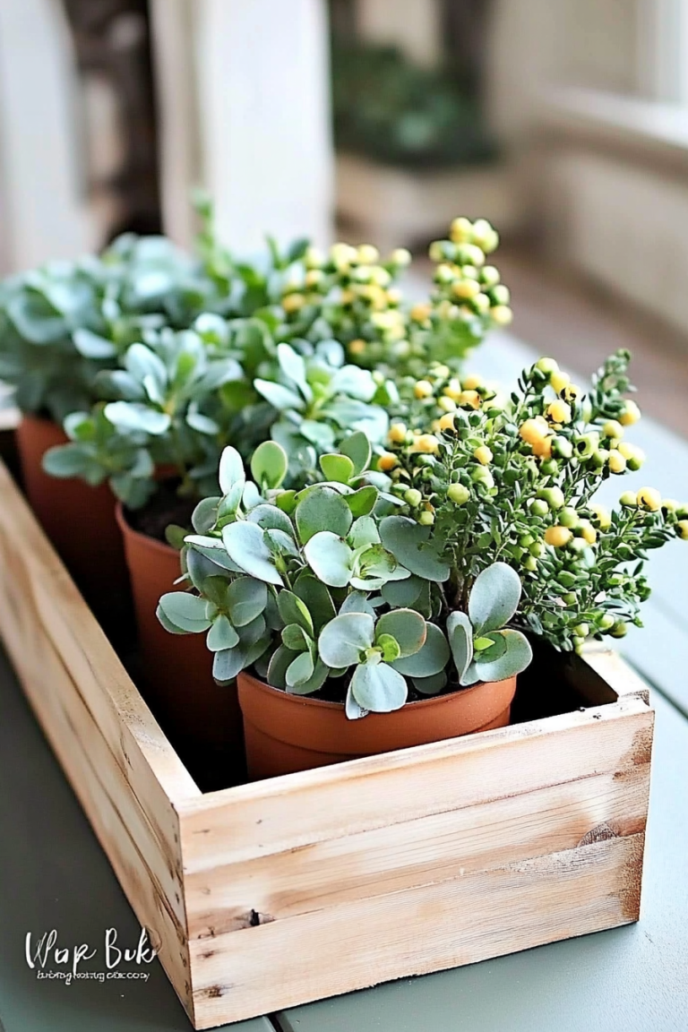 wood planter box